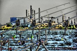 CN Corbu - 2013 (3)